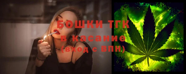 альфа пвп Медвежьегорск