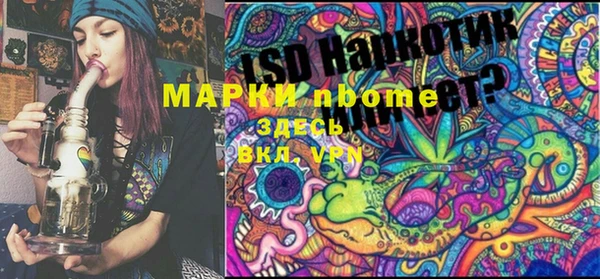 альфа пвп Медвежьегорск