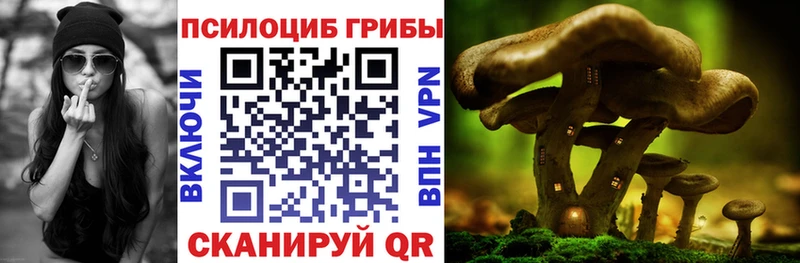где купить наркотик  Пенза  Псилоцибиновые грибы прущие грибы 