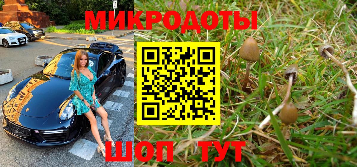 Пенза  Псилоцибиновые грибы Psilocybe  Вход с VPN  Галлюциногенные грибы мицелий 