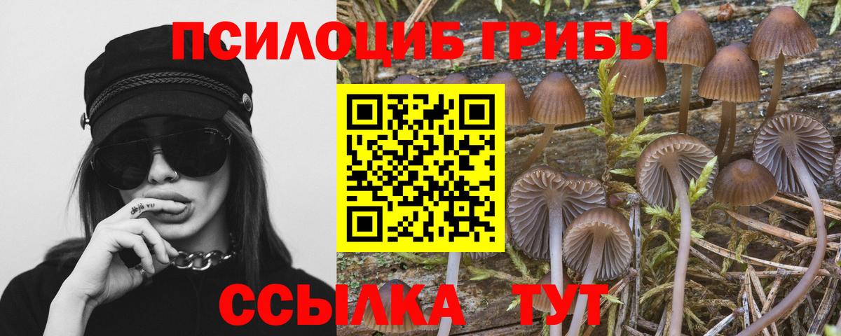 Псилоцибиновые грибы Magic Shrooms Пенза